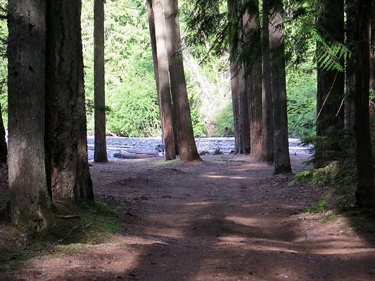 USFS WhiteRiver access - 11