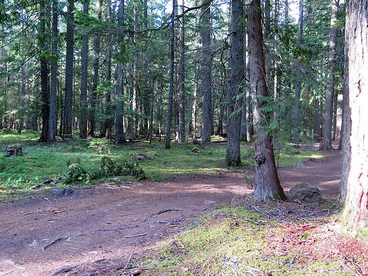 USFS WhiteRiver access - 5