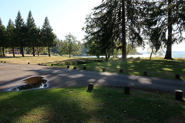 Rainforest Resort Lake Quinault - 19
