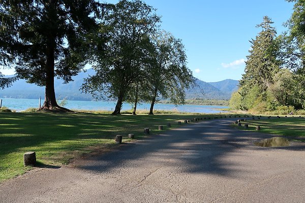 Rainforest Resort Lake Quinault - 18
