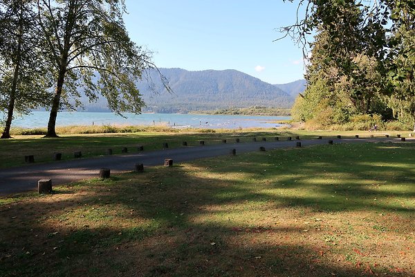 Rainforest Resort Lake Quinault - 22