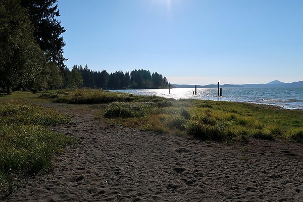 Rainforest Resort Lake Quinault - 30