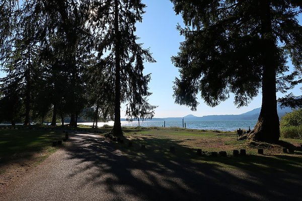 Rainforest Resort Lake Quinault - 27