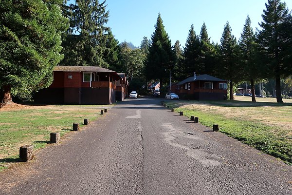 Rainforest Resort Lake Quinault - 39