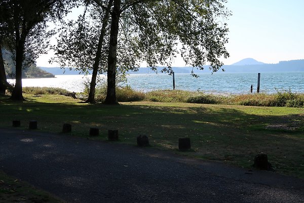 Rainforest Resort Lake Quinault - 24