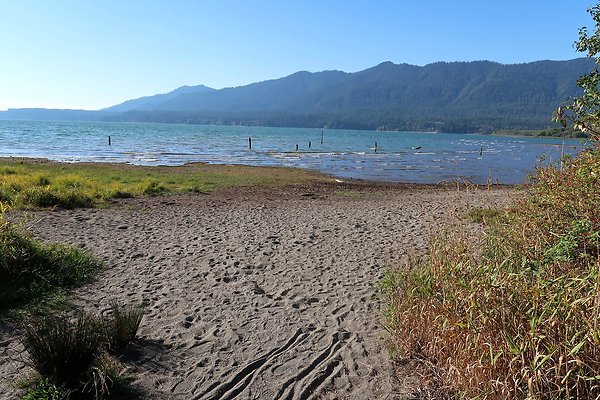 Rainforest Resort Lake Quinault - 29