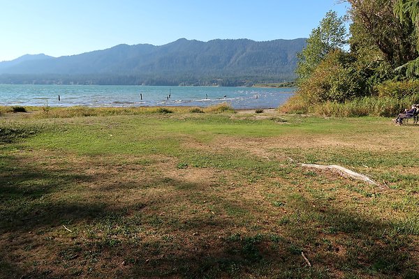 Rainforest Resort Lake Quinault - 28
