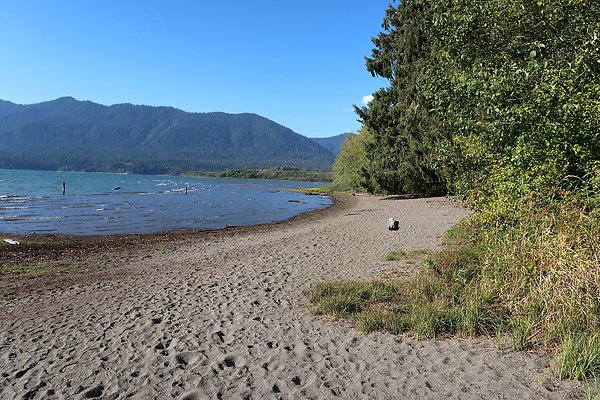 Rainforest Resort Lake Quinault - 33