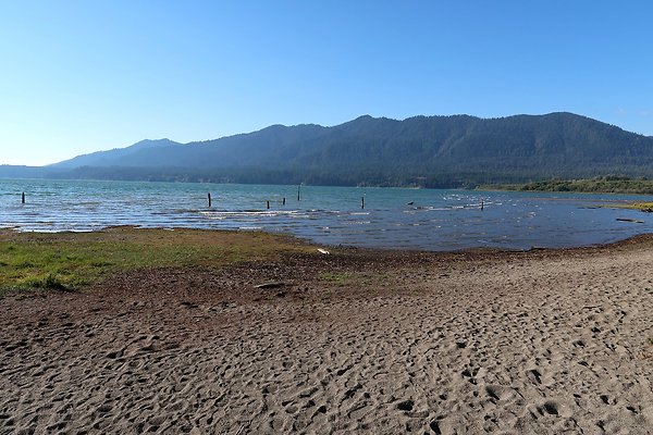 Rainforest Resort Lake Quinault - 32