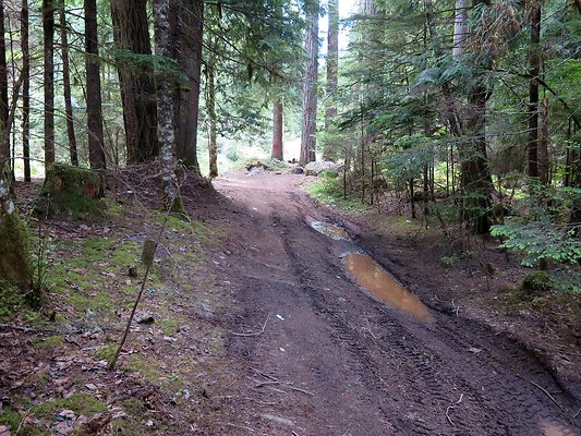 SkookamFalls riveraccess - 18