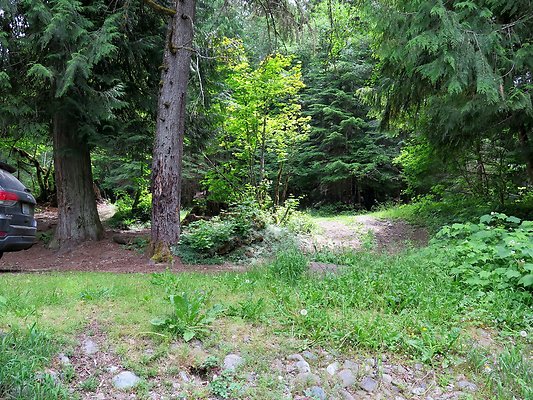 SkookamFalls riveraccess - 34