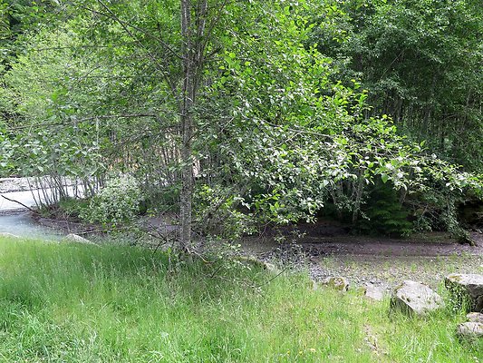 SkookamFalls riveraccess - 2