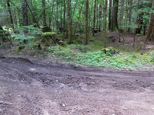 SkookamFalls riveraccess - 20