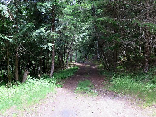 SkookamFalls riveraccess - 25