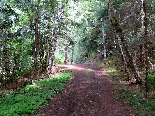 SkookamFalls riveraccess - 26