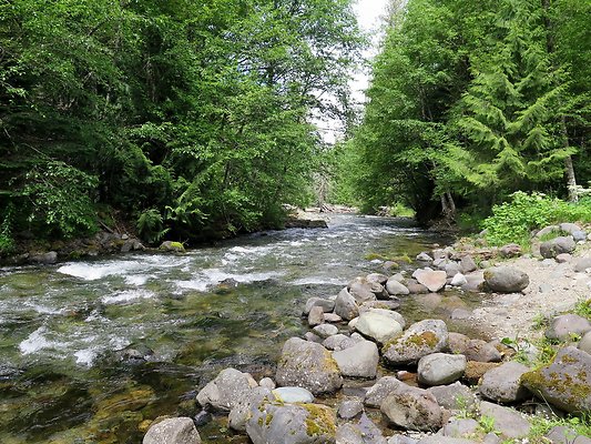 SkookamFalls riveraccess - 30