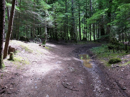 SkookamFalls riveraccess - 16