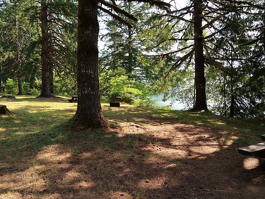 Swift Creek Campground Baker Lake - 59