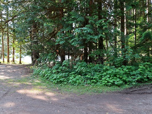 Swift Creek Campground Baker Lake - 73