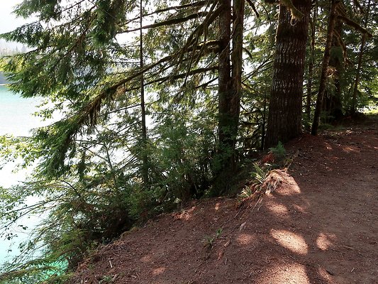 Swift Creek Campground Baker Lake - 96