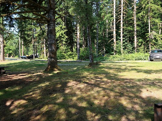Swift Creek Campground Baker Lake - 55