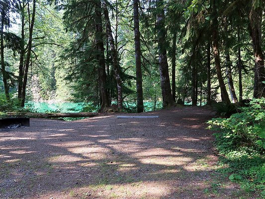 Swift Creek Campground Baker Lake - 23