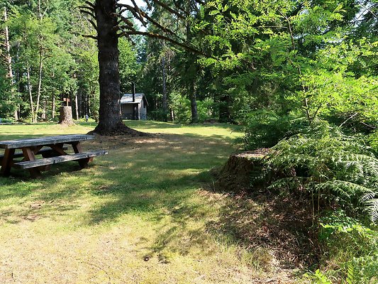 Swift Creek Campground Baker Lake - 58