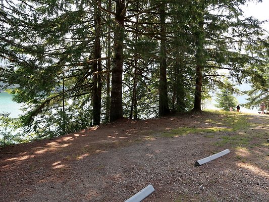Swift Creek Campground Baker Lake - 90