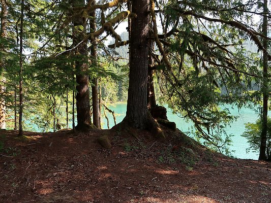 Swift Creek Campground Baker Lake - 88