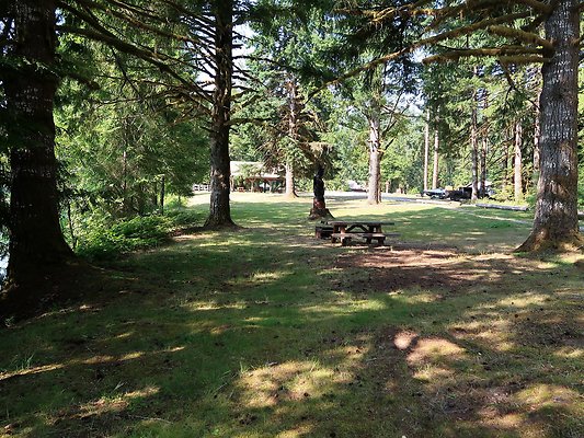 Swift Creek Campground Baker Lake - 54