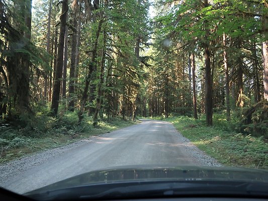 Swift Creek Campground Baker Lake