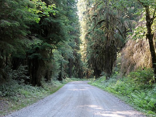 Swift Creek Campground Baker Lake - 4