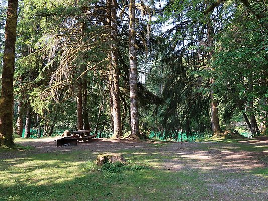 Swift Creek Campground Baker Lake - 6