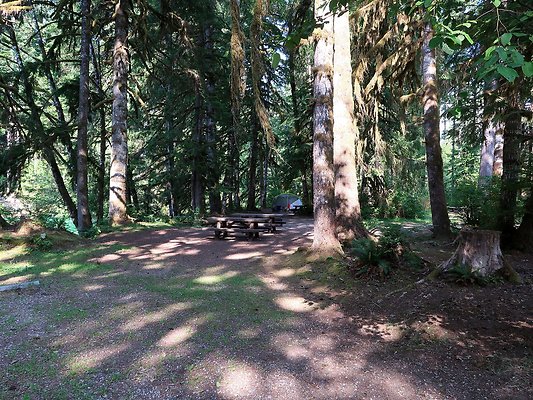 Swift Creek Campground Baker Lake - 10