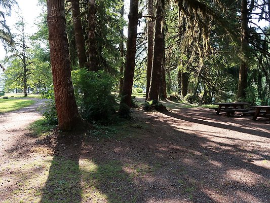 Swift Creek Campground Baker Lake - 21