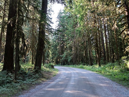 Swift Creek Campground Baker Lake - 2