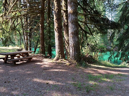 Swift Creek Campground Baker Lake - 8