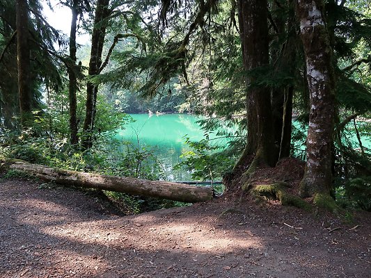 Swift Creek Campground Baker Lake - 18
