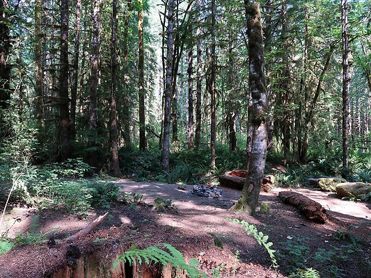 NF 1122 Lower sandy campground road - 17