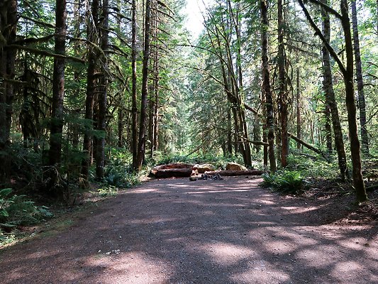 NF 1122 Lower Sandy Campground Road Site Baker Lake