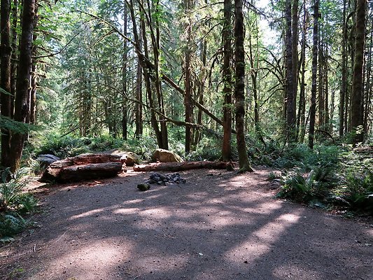 NF 1122 Lower sandy campground road - 2