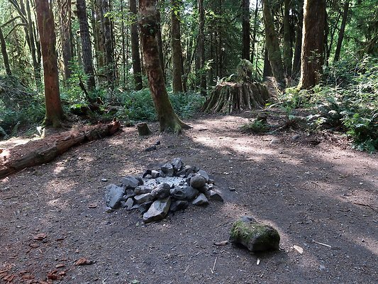 NF 1122 Lower sandy campground road - 7