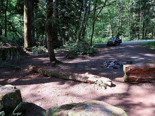 NF 1122 Lower sandy campground road - 9