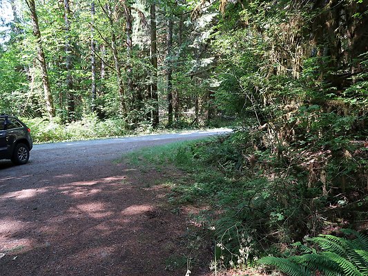 NF 1122 Lower sandy campground road - 6