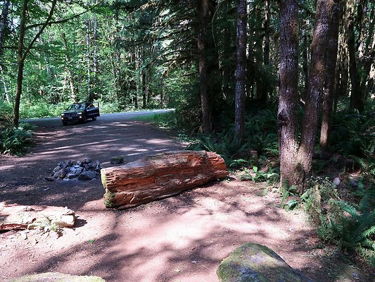 NF 1122 Lower sandy campground road - 10