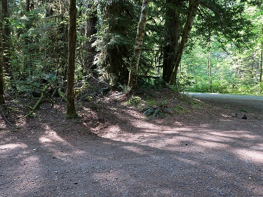 NF 1122 Lower sandy campground road - 4
