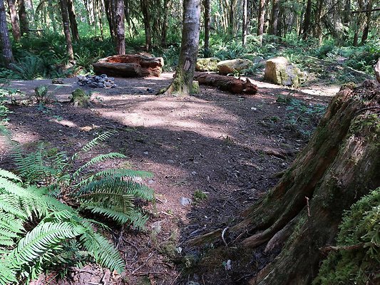 NF 1122 Lower sandy campground road - 18
