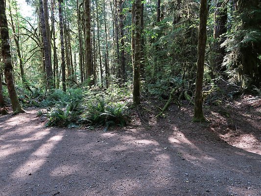 NF 1122 Lower sandy campground road - 3