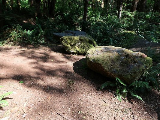 NF 1122 Lower sandy campground road - 16