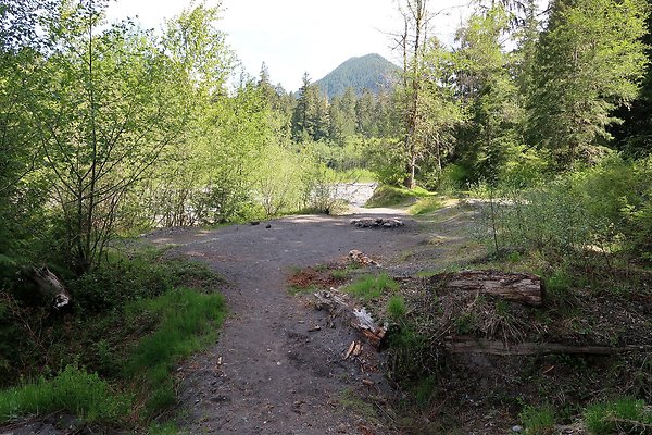 NF52 USFS Ashford Mt Rainier area